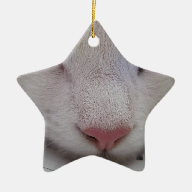 Ornement Étoile En Céramique Chat couché (Devant)