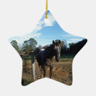 Ornement Étoile En Céramique Cheval brun Coco et Crème