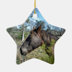 Ornement Étoile En Céramique Cheval de couleur Coco et Crème