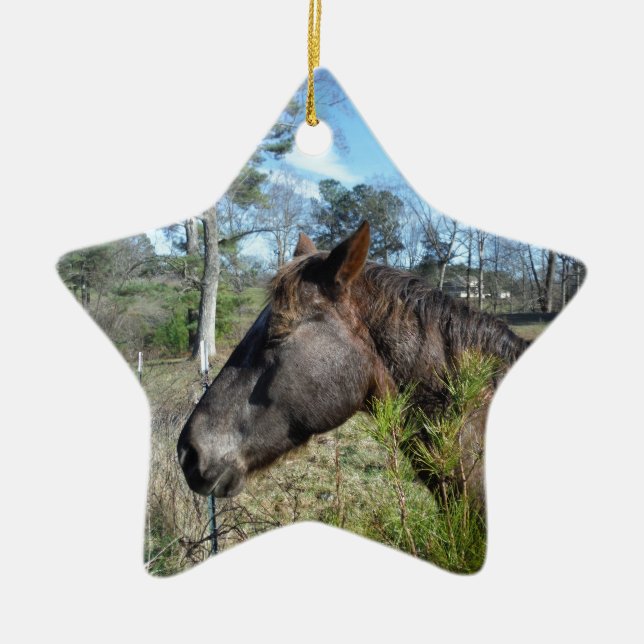 Ornement Étoile En Céramique Cheval de couleur Coco et Crème (Devant)