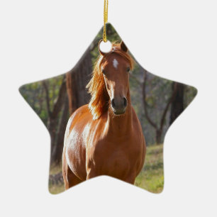 Ornement Étoile En Céramique Cheval magnifique de brun de châtaigne dans le