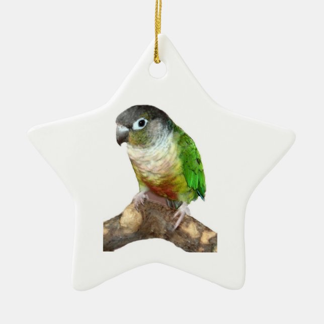 Ornement Étoile En Céramique Conure verte à la joue (Devant)