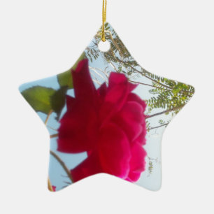 Ornement Étoile En Céramique Cute Retro Hakuna Matata Cadeau Bleu Rouge Vert SK
