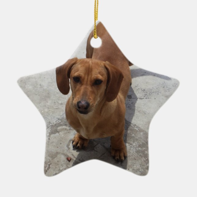Ornement Étoile En Céramique Dachshund Christmas Orament Star Custom (Devant)