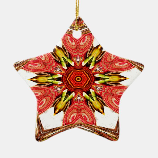 Ornement Étoile En Céramique Doodle Floral Art Imprimer (Devant)