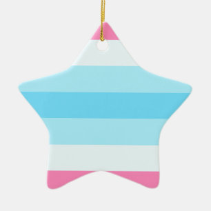 Ornement Étoile En Céramique drapeau de transmasculine