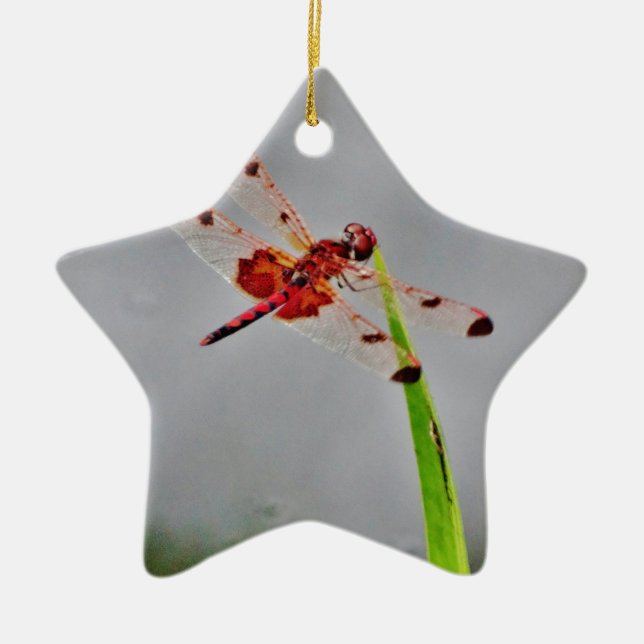 ORNEMENT ÉTOILE EN CÉRAMIQUE DSC00029.JPG (Devant)