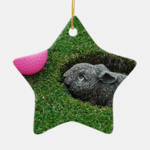 ORNEMENT ÉTOILE EN CÉRAMIQUE DSCF0652.JPG