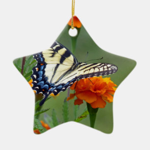 Ornement Étoile En Céramique Femelle jaune Papillon tigré de l'Est