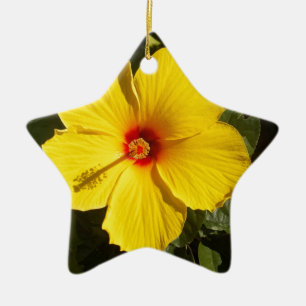 Ornement Étoile En Céramique Fleur d'Hibiscus jaune