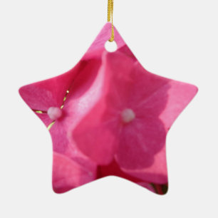 Ornement Étoile En Céramique fleurs roses