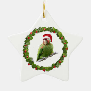 Ornement Étoile En Céramique Guirlande de Noël de Conure