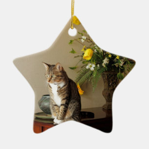 Ornement Étoile En Céramique Le chat tigré noir Brown se reposant sur le piano