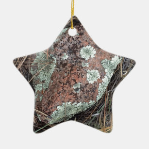 Ornement Étoile En Céramique Lichen de roche de mousse