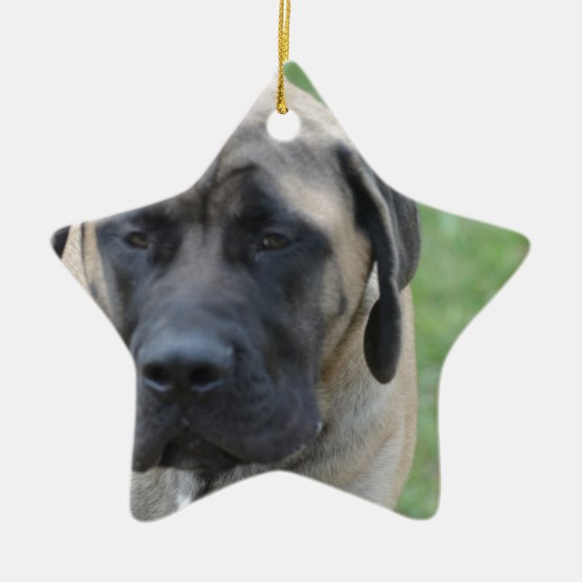 Ornement Étoile En Céramique Mastiff anglais mignon (Devant)