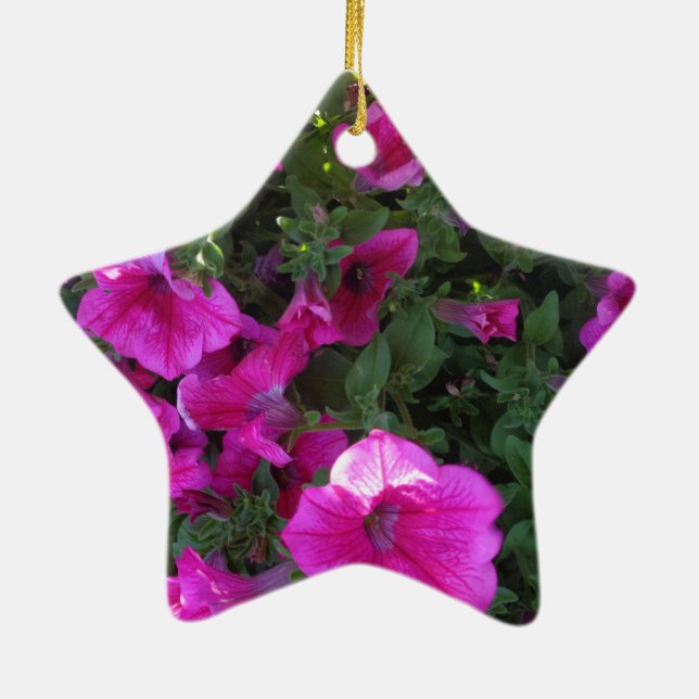 Ornement Étoile En Céramique Nature, Flore, Fleur rose (Dos)