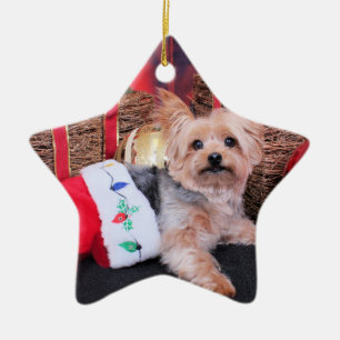 Ornement Étoile En Céramique Noël - Yorkshire Terrier - Vinnie