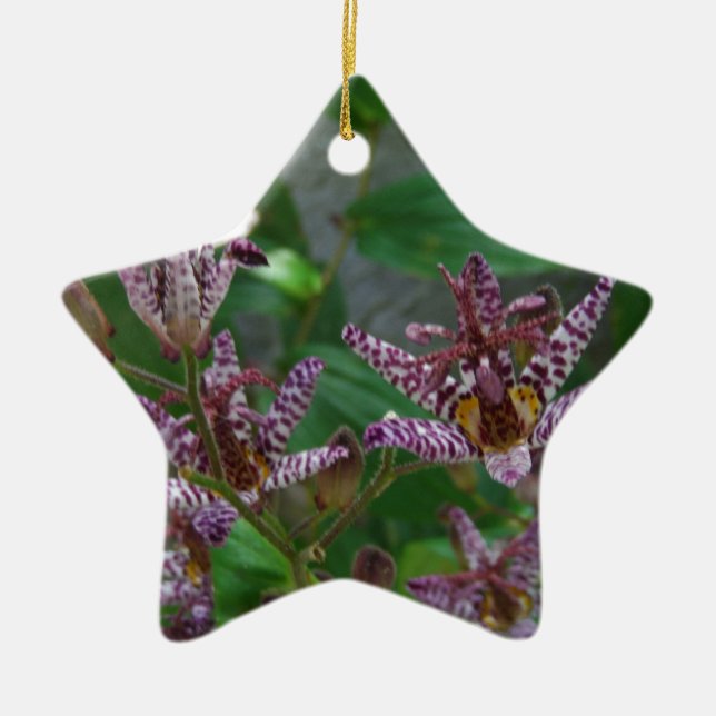 Ornement Étoile En Céramique Orchidée blanche rayée violette rose comme lys de  (Devant)