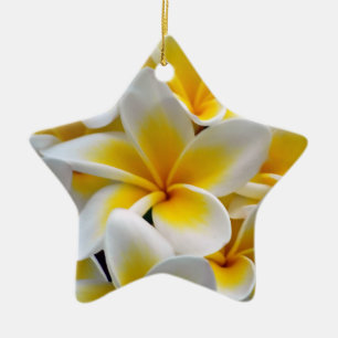 Ornement Étoile En Céramique Photo de fleur de Plumeria de Frangipani