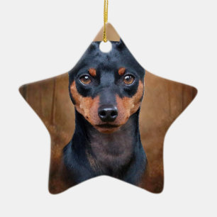 Ornement Étoile En Céramique Pinscher miniature