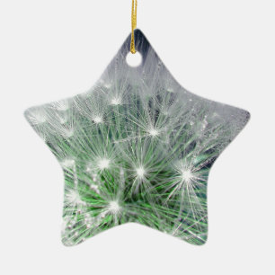 Ornement Étoile En Céramique Pissenlit vert et blanc frais avec gouttes d'eau