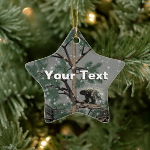 Ornement Étoile En Céramique Porcupine Dans Un Pin