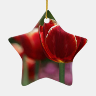 Ornement Étoile En Céramique Tulipes
