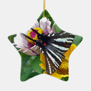 Ornement Étoile En Céramique Zebra Swallowtail+Japonais Beetle