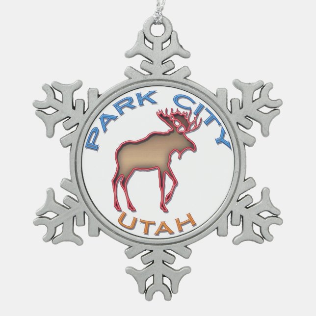 Ornement fantastique de flocon de neige de Park (Devant)