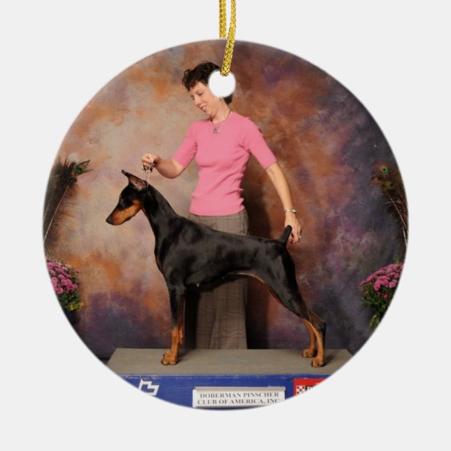 Ornement féerique (Devant)