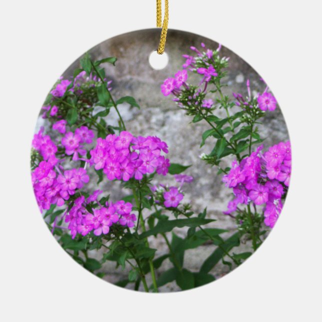 Ornement Fleurs de Lilas  (Devant)