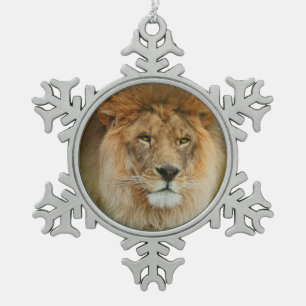 Ornement Flocon De Neige Afrique du Sud Majestic Lion Fermer