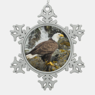 Ornement Flocon De Neige Aigle à tête blanche