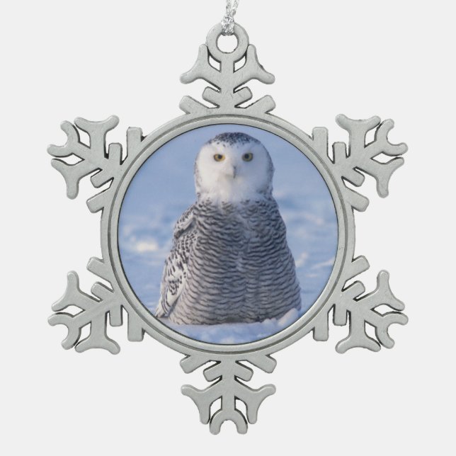 Ornement Flocon De Neige Alaska Arctic Snowy Owl Winter Scene Design Photo (Devant)