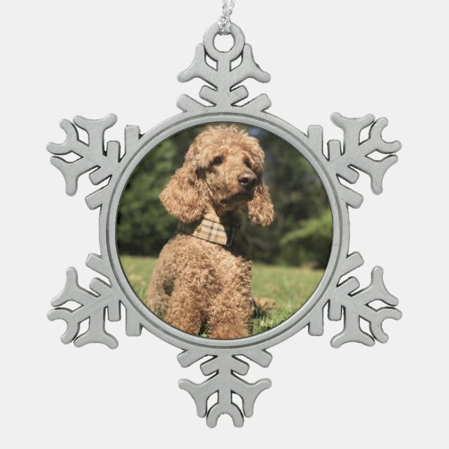 Ornement Flocon De Neige Apricot Poodle personnalisable (Devant)