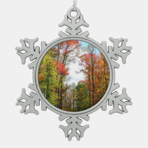 Ornement Flocon De Neige Automnes Arbres et Ciel bleu Automne Photographie