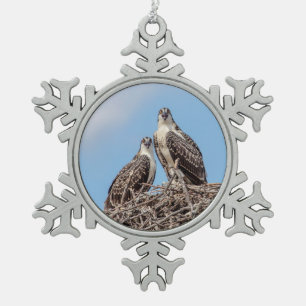 Ornement Flocon De Neige Balbuzard juvénile dans le nid
