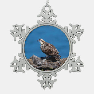 Ornement Flocon De Neige Balbuzard sur les rochers