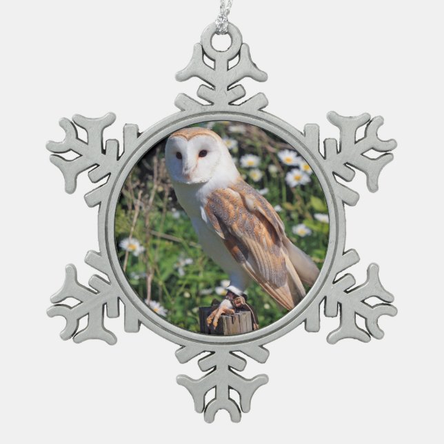 Ornement Flocon De Neige Barn Owl (Devant)