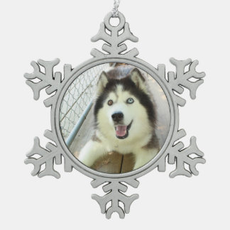 Ornement Flocon De Neige Bel ornement de chien de traîneau sibérien