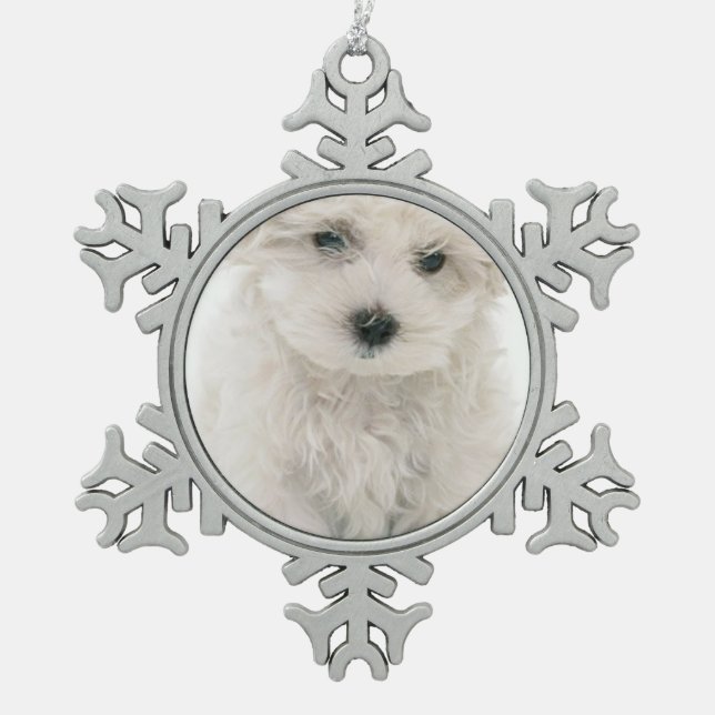 Ornement Flocon De Neige Bichon Frise (Devant)