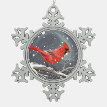Cardinal d'hiver