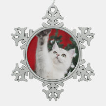 Cat blanc XMAS