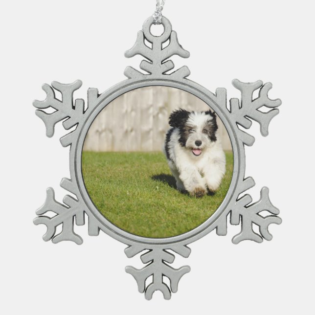 Ornement Flocon De Neige Chien de berger mignon de queue écourtée (Devant)
