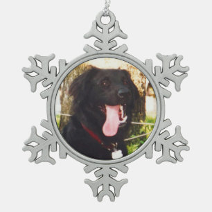 Ornement Flocon De Neige Chien Luke
