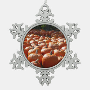 Ornement Flocon De Neige Citrouille Patch Automne Harvest Photographie