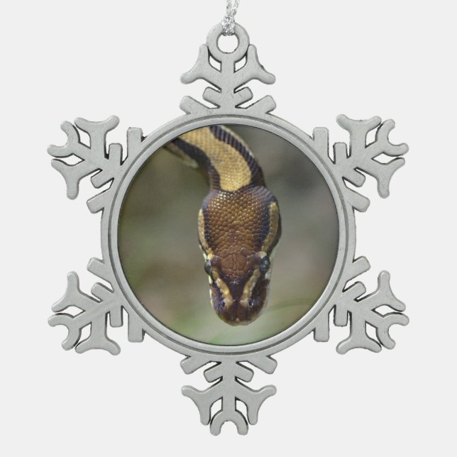 Ornement Flocon De Neige Closeup ball pythonCarte postale (Devant)