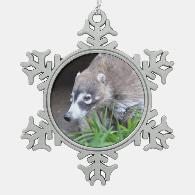 Ornement Flocon De Neige Coati de vagabondage (Devant)