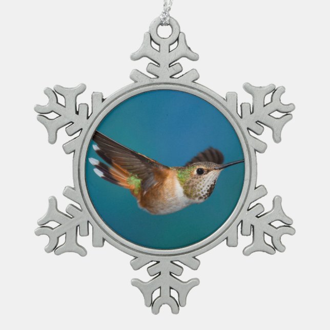 Ornement Flocon De Neige Colibri Rufous (Devant)