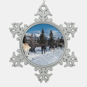 Ornement Flocon De Neige Course de traîneau à chiens Husky de l'Alaska
